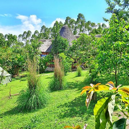 Chimpanzee Capital Safari Lodge Bigodi Екстер'єр фото