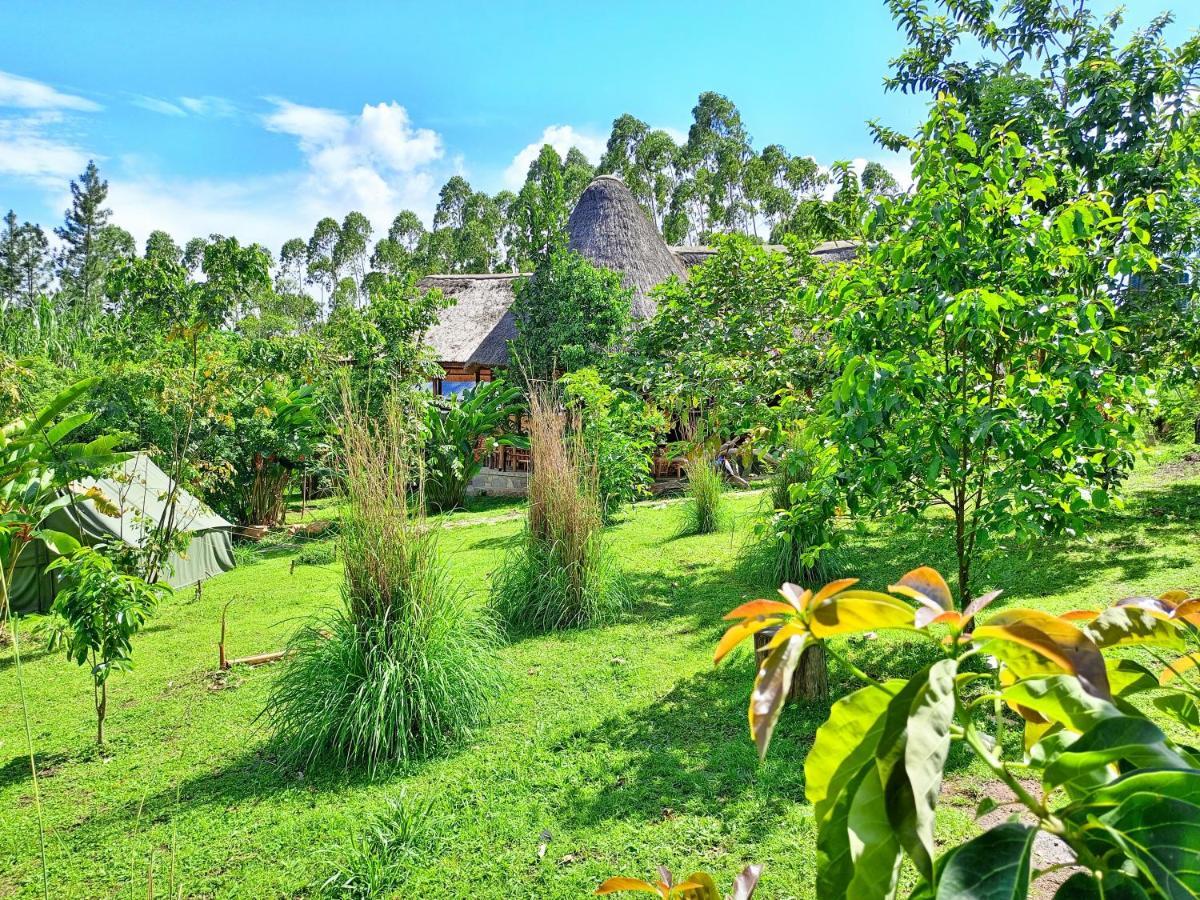 Chimpanzee Capital Safari Lodge Bigodi Екстер'єр фото