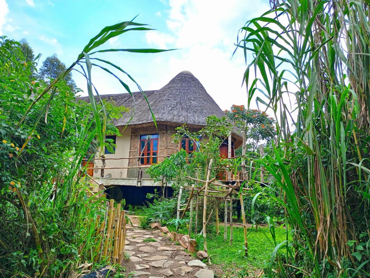Chimpanzee Capital Safari Lodge Bigodi Екстер'єр фото