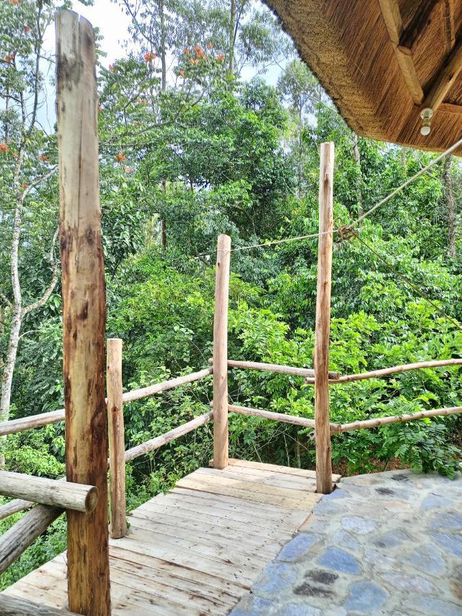 Chimpanzee Capital Safari Lodge Bigodi Екстер'єр фото