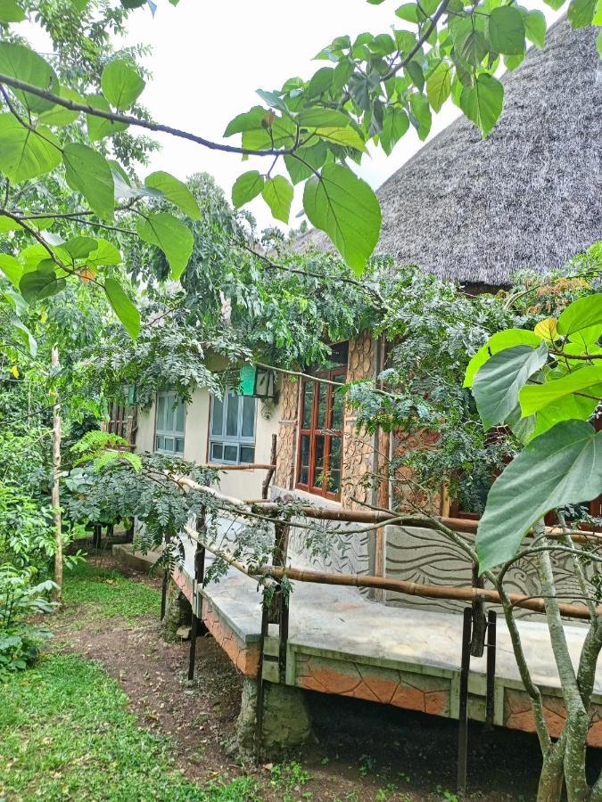 Chimpanzee Capital Safari Lodge Bigodi Екстер'єр фото