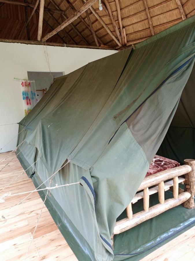 Chimpanzee Capital Safari Lodge Bigodi Екстер'єр фото