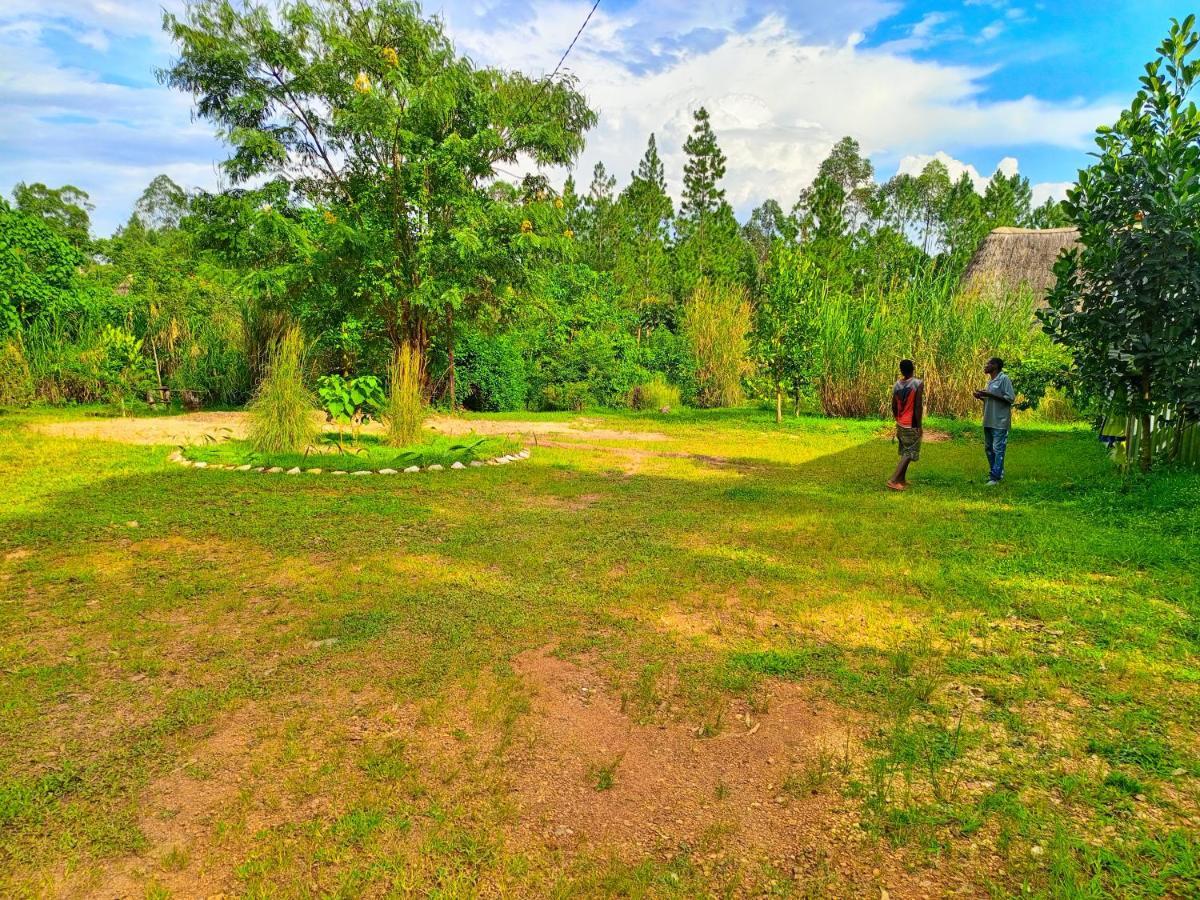 Chimpanzee Capital Safari Lodge Bigodi Екстер'єр фото